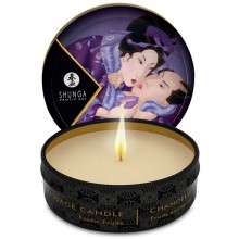Массажная свечка «Massage Candle» от компании Shunga, аромат «Экзотические фрукты», объем 30 мл, DEL4470, 30 мл.