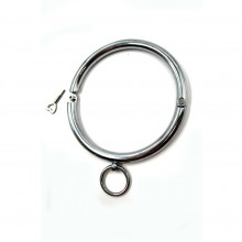 Ошейник металлический с кольцом для фиксации от компании Kanikule, цвет серебристый, KL-NC21001, диаметр 14 см.