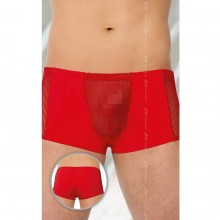 Шорты мужские с сеткой «SoftLine Collection», красный, размер 52, 451534