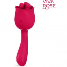  Viva rose  ,  ,  , Viva Rose Toys 159325,  3.4 .