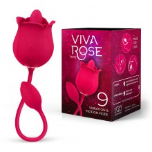 Viva rose  ,  ,  , Viva Rose Toys 159329,  2.8 .