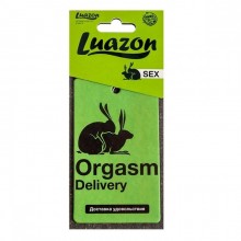 Ароматизатор в авто «Orgasm» с ароматом мужского парфюма, цвет зеленый, Сима-Ленд 4901330, из материала Картон