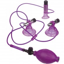 Виброприсоски - помпы для стимуляции сосков груди и клитора, PipeDream 3222-00 PD, цвет Фиолетовый, длина 6 см.