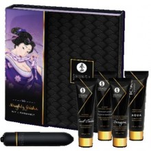Набор «Naughty Geisha» из пяти предметов для интимного массажа и игр, Shunga 8269 SG, цвет Прозрачный, 7 мл.