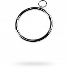 Металлический ошейник с кольцом из коллекции ToyFa Metal, цвет серебристый, размер S, 717181-S, диаметр 11.5 см.