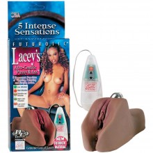 Мастурбатор-вагина с вибрацией «Lacey Afro-Centric Pussy & Ass» от компании California Exotic Novelties, цвет мулат, SE-0893-03-3, бренд CalExotics, длина 18 см., со скидкой