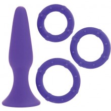 Фиолетовый набор из анальная пробка и набора эрекционных колец «Posh Performance Kit» от компании California Exotic Novelties, цвет фиолетовый, SE-0398-20-3, бренд CalExotics, из материала Силикон, длина 10.25 см., со скидкой