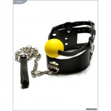 Кляп с поддержкой и закрытой маской от компании PentHouse, цвет желтый, размер OS, P3017B