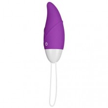 Фиолетовое виброяйцо с пультом ДУ «IJOY Remote Control Egg», Lovetoy LV1562 purple, бренд Биоритм, цвет Фиолетовый, длина 8.1 см.