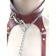 Кожаный ошейник-поводок «Rony ring», бордовый, BDSM96 B01
