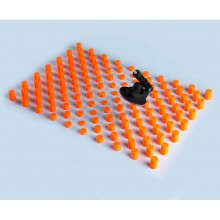 Cruizr, Нидерланды