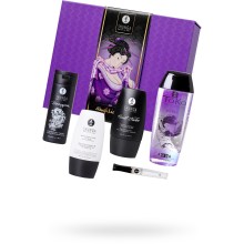 Подарочный набор «Shunga Naughter Kit», 5 средств, 9210