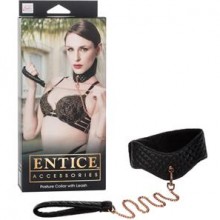 Entice Posture Collar with Leash   , , SE-2720-70-3,  Entice Accessories