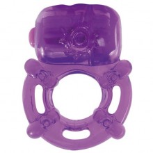 Эрекционное виброкольцо для члена «Kinky», Toyz4lovers T4L-801234, цвет Фиолетовый, со скидкой