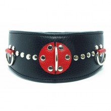 БДСМ ошейник, БДСМ Арсенал 55024ars