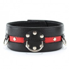 Кожаный ошейник на пряжке, цвет черно красный, БДСМ Арсенал 55023ars