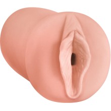 Порно трансвестит фотосуреті