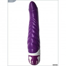 Многофункциональный женский вибратор точки G «Punk Rock Vibe», цвет фиолетовый, Hustler Toys 37022, длина 21.8 см.