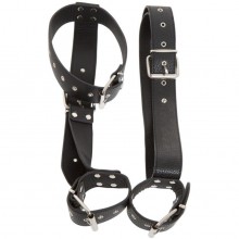      Neck and Hand Restraints   Bad Kitty   Orion,  ,  OS, 24921641001,   , One Size ( 42-48)