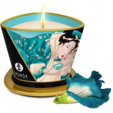 Массажная свеча для тела с афродизиаками «Island Blossoms» с цветочным ароматом, 170 мл, Shunga 4524DESC, цвет прозрачный, 170 мл.