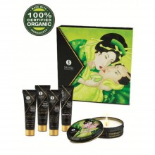 Набор массажных масел «Geisha's Secret» экзотический зеленый чай, Shunga 8211 SG, 30 мл., со скидкой