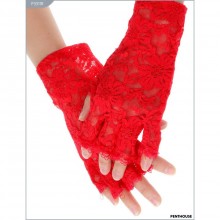 Перчатки короткие с открытыми пальчиками, цвет красный, размер OS, Penthouse P3311R, One Size (Р 42-48)